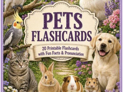 Pets Flashcards 20 Printable Cards