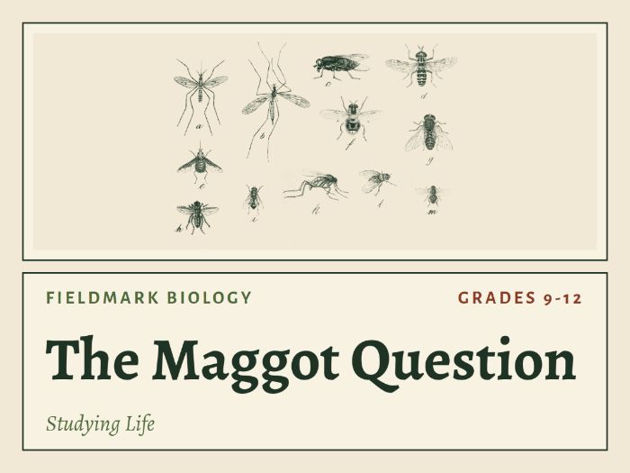 Scientific Method Biology Lesson: Experimental Design Activity