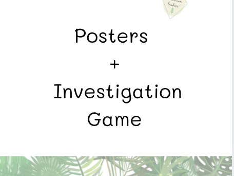 Dinosaur Facts - Posters + Investigation Game