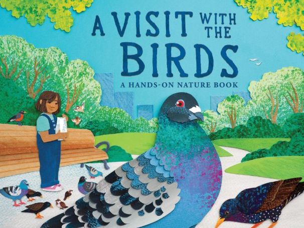 A Visit with the Birds by Sara Levine Educator Guide