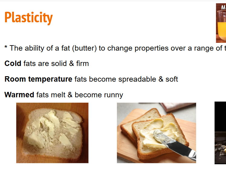 GCSE Food Prep & Nutrition: Fats- Food Science