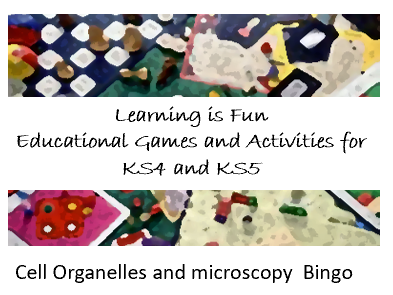 Cell Structure  Bingo