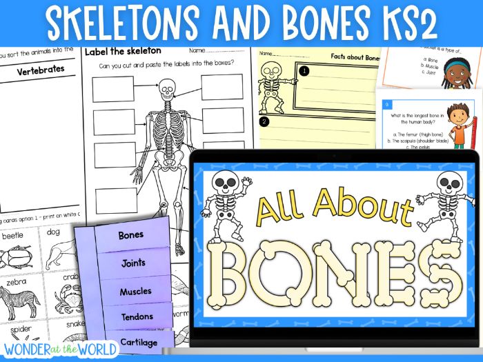 KS2 skeletons and bones PowerPoint Google Slides and printables worksheets lesson
