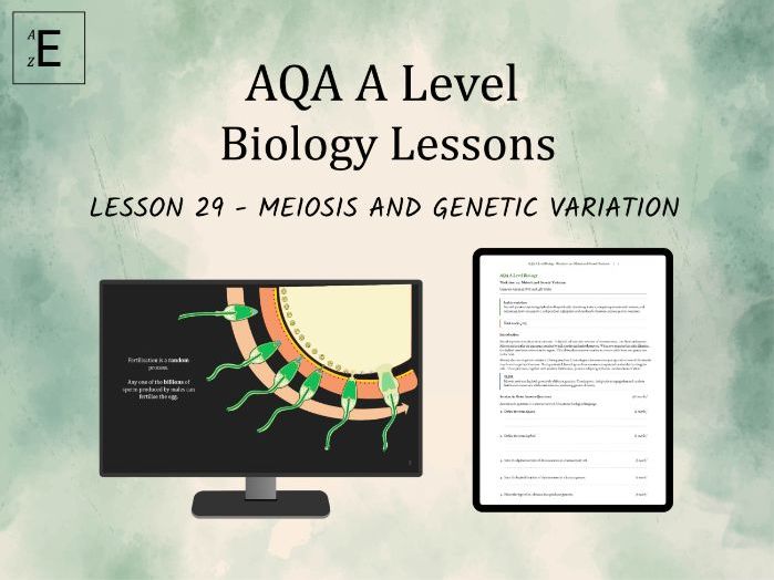 AQA A Level Biology Lesson 29 - Meiosis and Genetic Variation