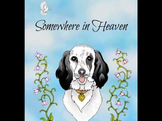 Somewhere In Heaven E-book