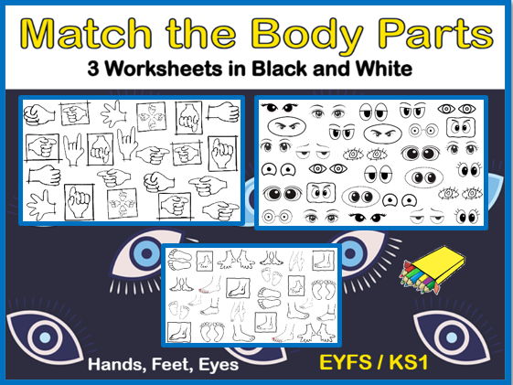 3 Match the Body Parts Worksheets