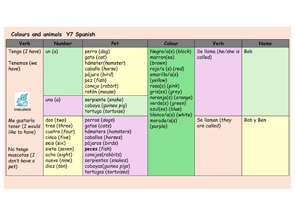 Colours and animals Y7 Spanish 2 lessons
