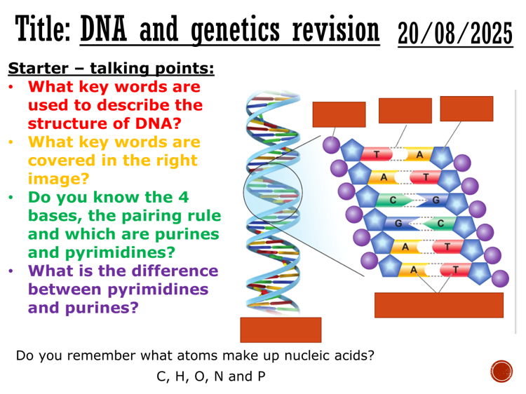 DNA and genetics revision A level