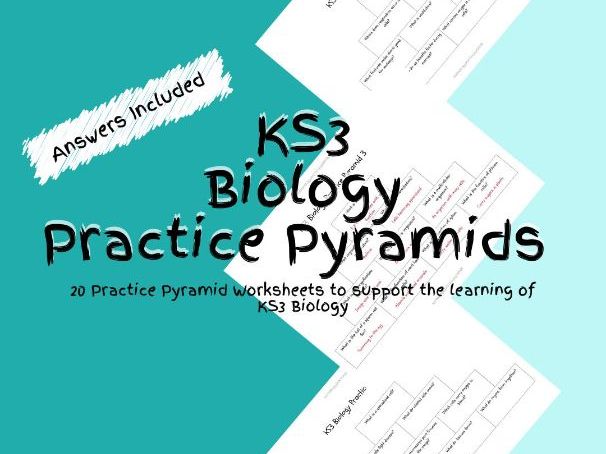 20 KS3 Biology Practice Pyramid Worksheets PDF