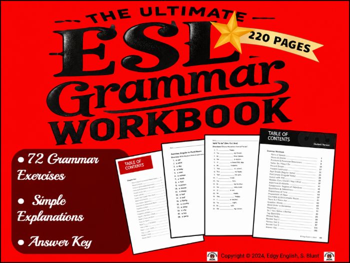 ESL Grammar Book for Beginner & Intermediate Learners:  Lessons & Worksheets | High School & Adults