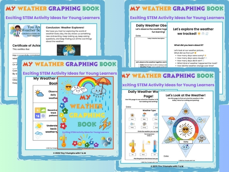Weather Graphing Book/STEM activity