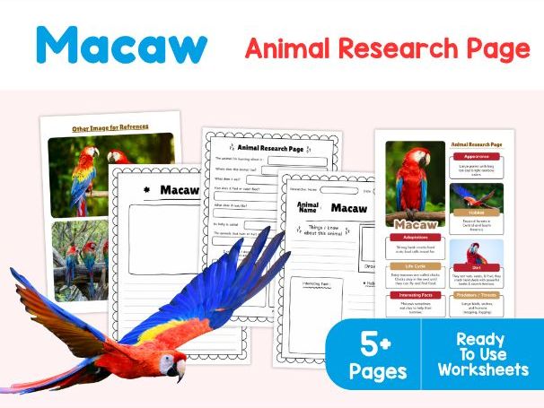 Macaw Research Worksheets | Rainforest Birds and Habitats