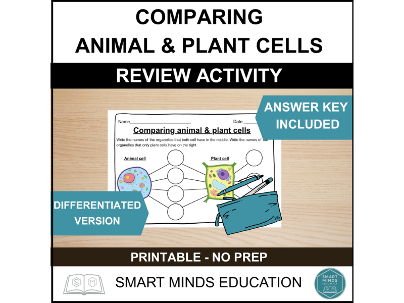 Comparing animal and plant cells worksheet activity