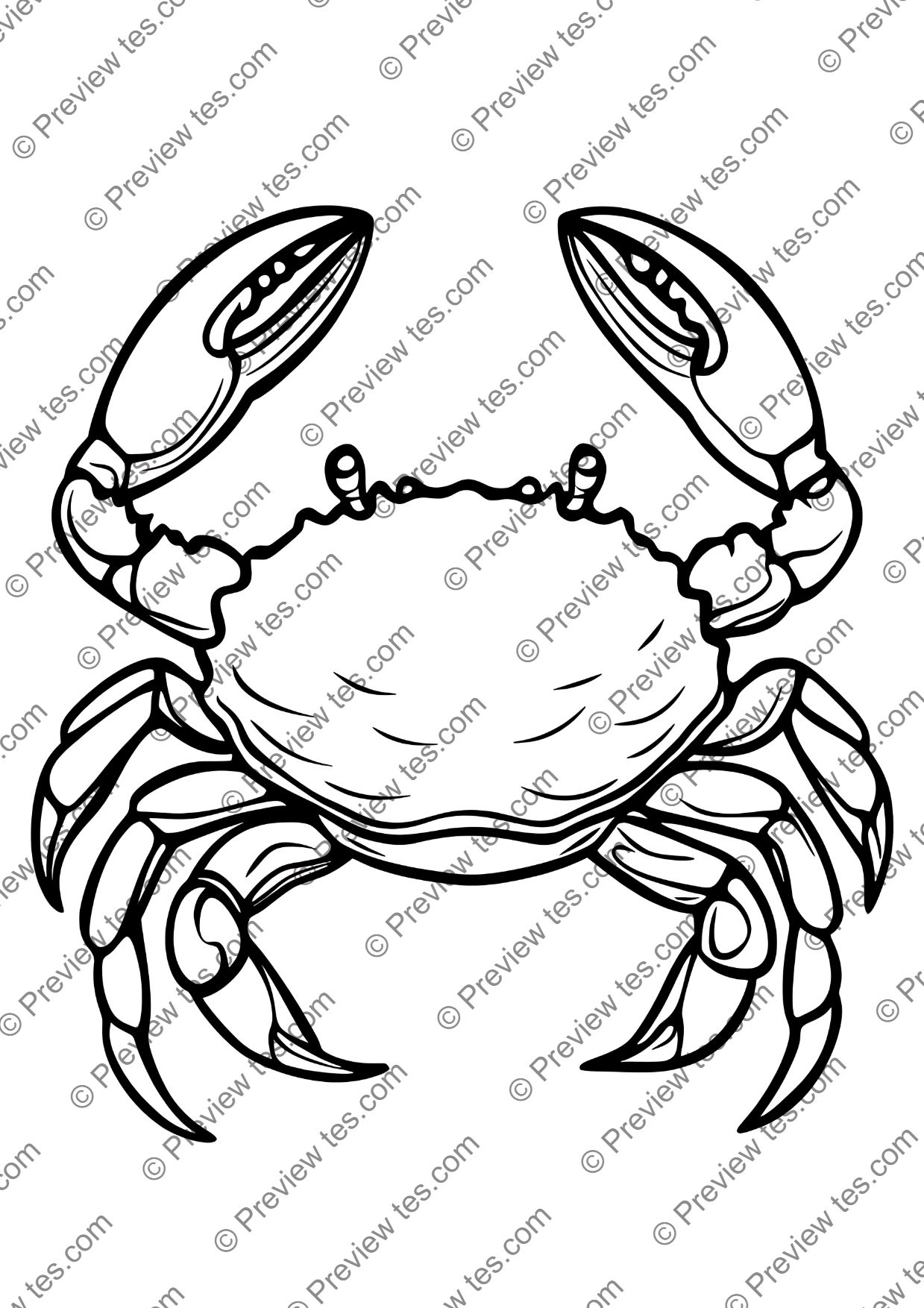 50 Ocean Animals Colouring Pages | Fun Marine Life Activities for ...