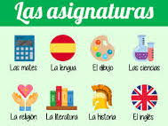 Las asignaturas