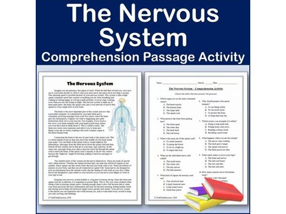 The Nervous System - Biology Reading Comp Passage & Activity | Editable