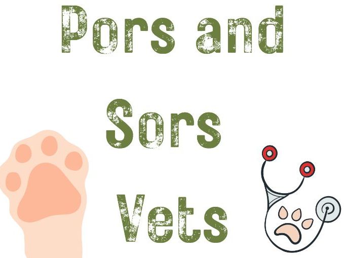 Vets Role Play, Early Reading & Social Skills Resource