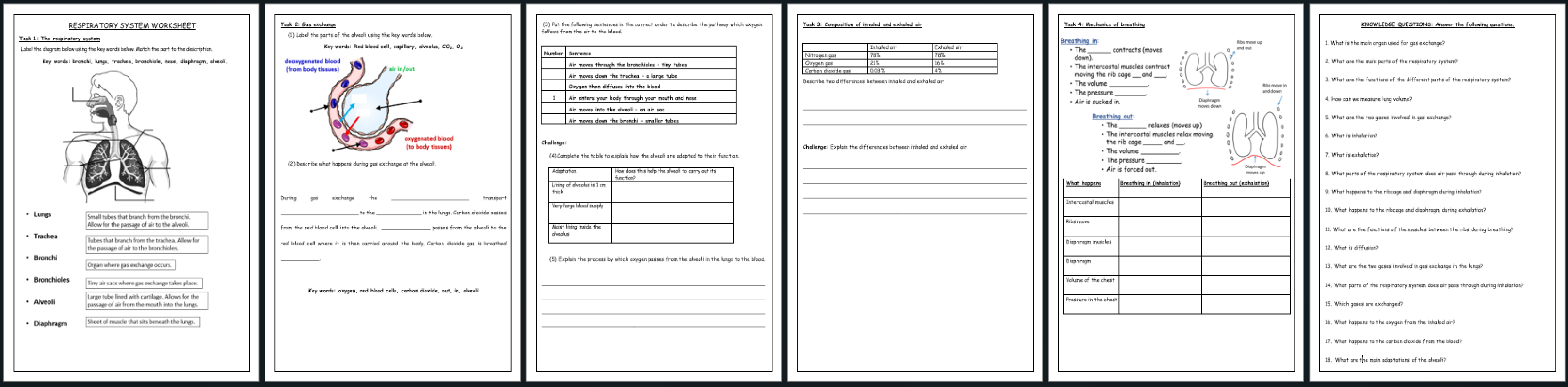 docx, 402.14 KB