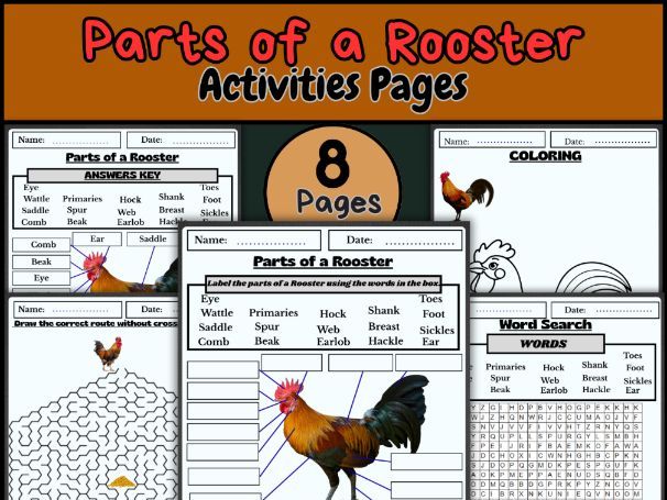 Parts of a dog/Dog labeling worksheet/Animal body parts/Dog anatomy for kids