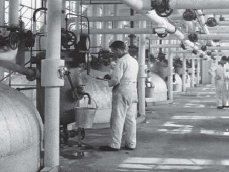 10.2 The development of penicillin