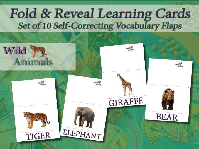 10 Flash Cards. Wild Animals