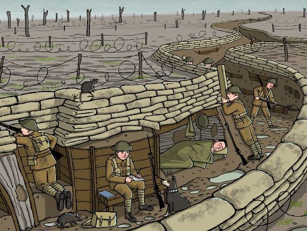 Lesson 6: How did the trenches develop?