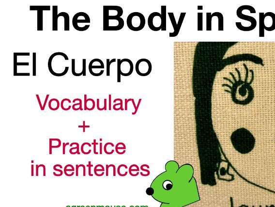 Parts of the Body in Spanish