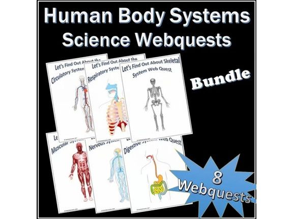 Body Systems Webquests Science Bundle + Vocab Quizzes + Crossword Puzzles