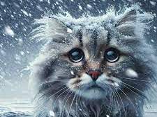 Cold Heart, Warm Feline Readers' Theatre Unit -5 pages