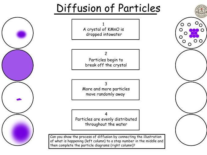 Diffusion Worksheets - Differentiated