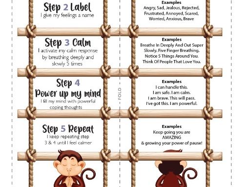 Self-Regulation Tool - Resource and printables - The Power of Pause