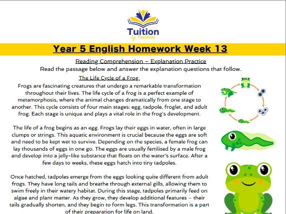 13. Year 5 - Reading Comprehension & Grammar