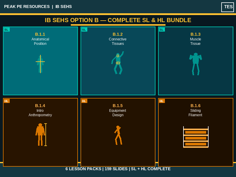 IB SEHS | Option B Complete SL & HL Bundle | Movement and Sports Injuries | B.1 | 6 Lesson Packs