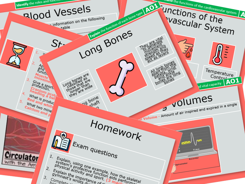 Applied Anatomy and Physiology SOW (Edexcel GCSE PE)