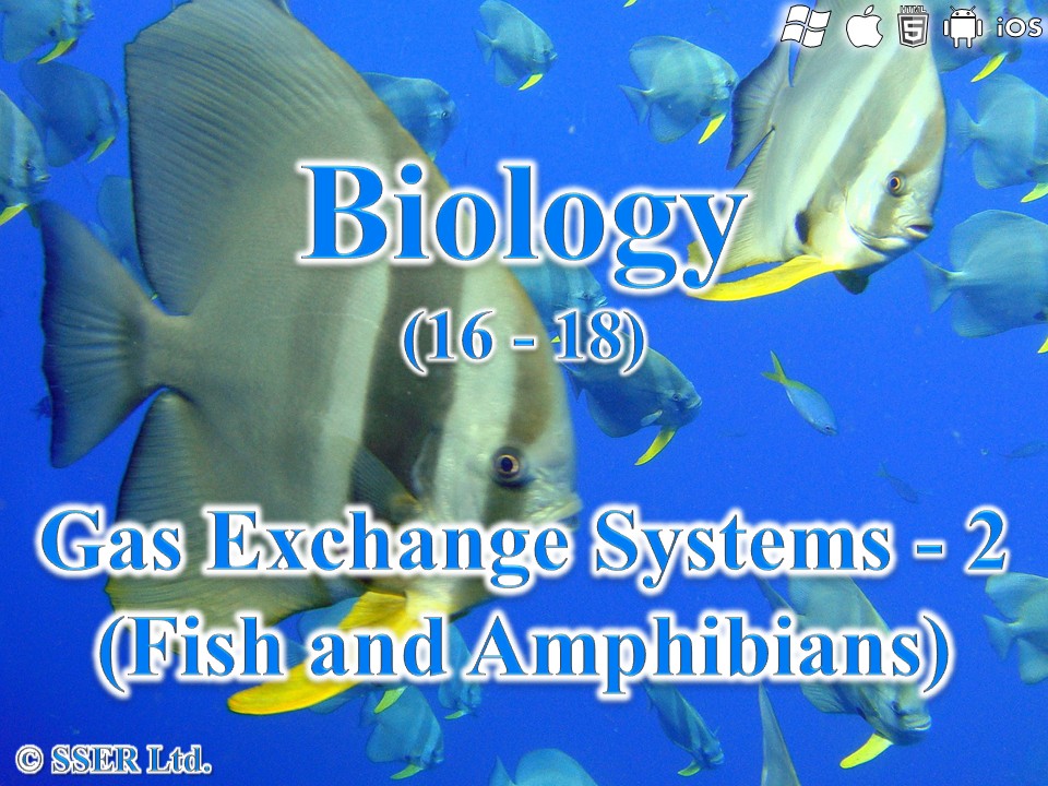 BioA_3.3.2 Gas Exchange Systems 2 - Fish & Amphibians
