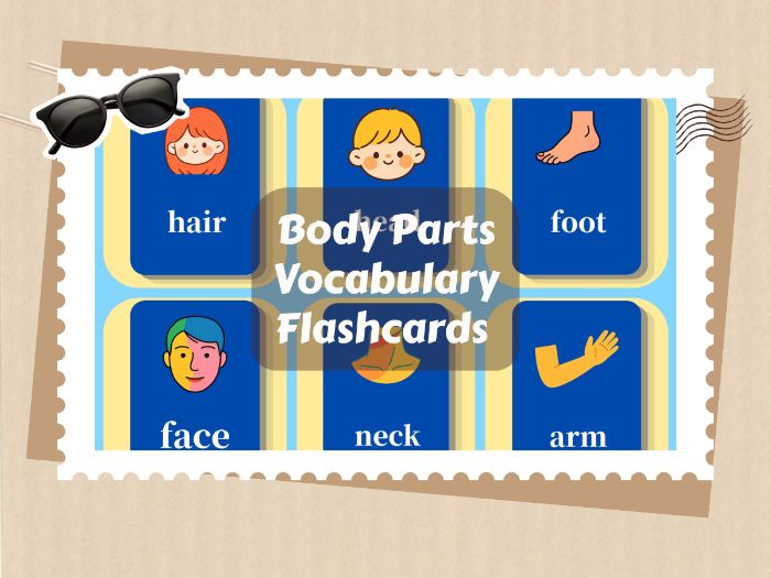 16 Printable Body Parts Flashcards | Preschool ESL Basic Vocabulary