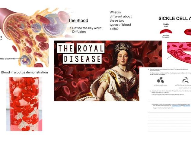 Components of the blood