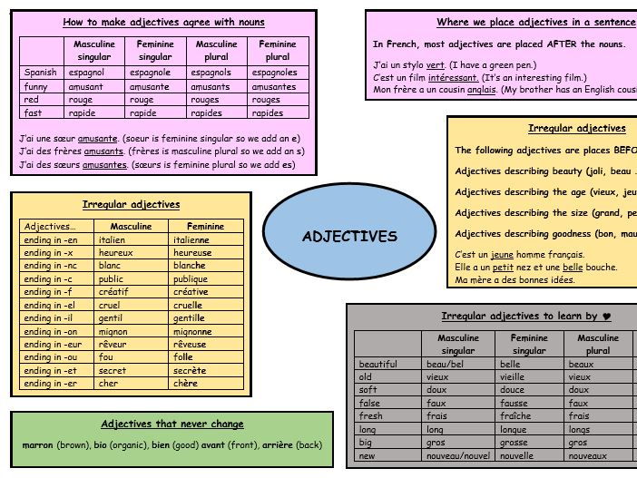 French Irregular Adjectives Chart
