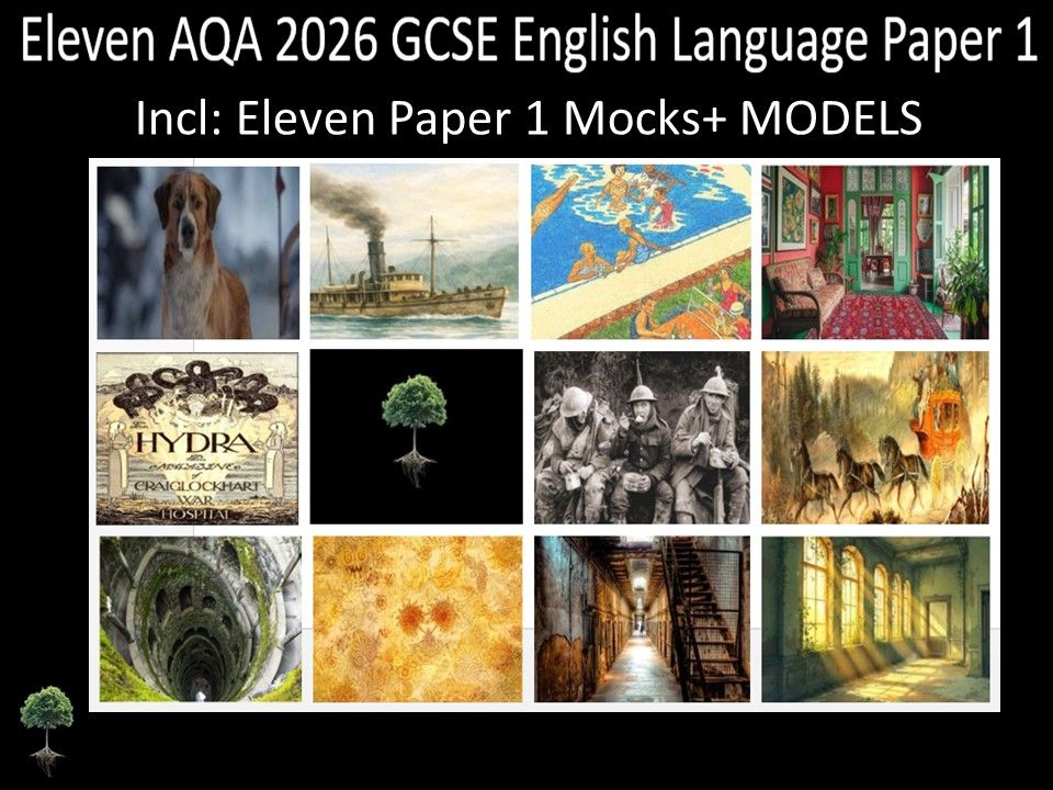 Eleven AQA GCSE 2026 English Language Paper 1 Mocks | Models