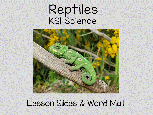 Reptiles for KS1 Science
