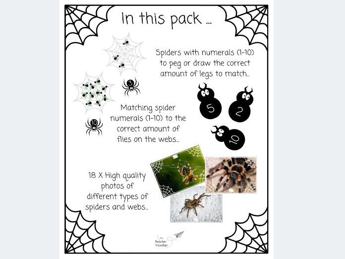 The Spider Number Pack (EYFS)