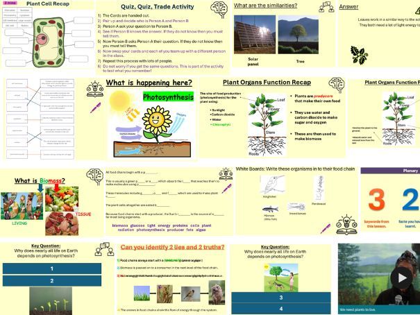 KS3 Photosynthesis Topic. Lesson 1. Plants and Why They Are Important