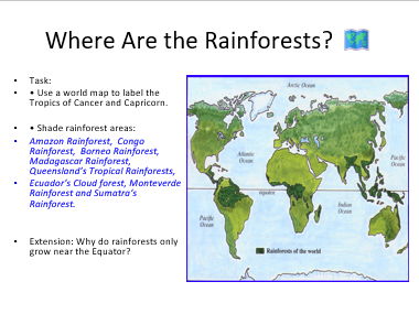 KS3: Should We Protect the Rainforests?