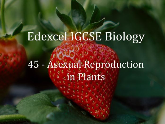 Edexcel IGCSE Biology Lecture 45 - Asexual Reproduction in Plants | Teaching Resources