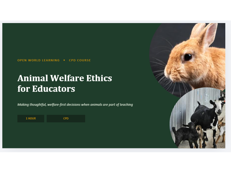 Animal Welfare Ethics for Educators - CPD Course | Ethical Animal Handling in Schools