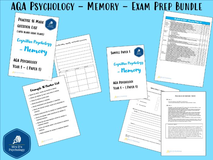 Memory - Exam Preparation / Revision Materials (New Spec - A Level Exams 2027)