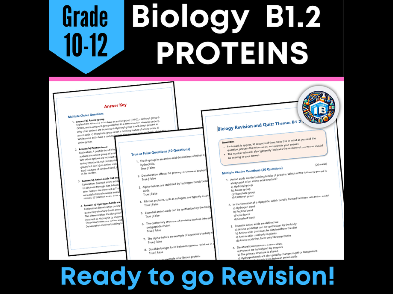 IB DP Biology B1.2 Proteins Quiz and Revision Worksheets 2026