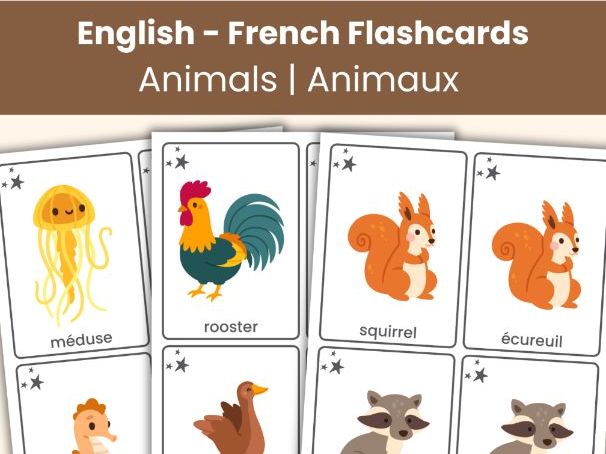 English–French Animal Flashcards | 100 Bilingual Animal Vocabulary Cards