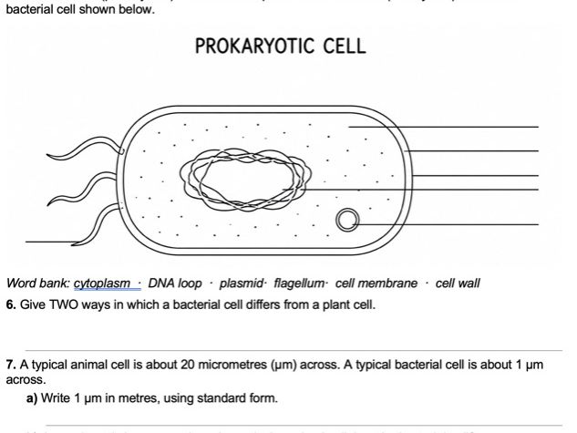 OCR AAQ Applied Science Summer Bridging workbook Biology answers