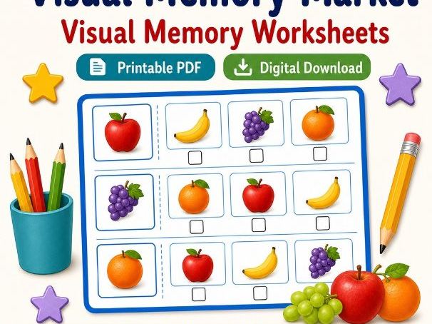 Visual Memory Market